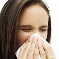 Hubungan Ingus Dan Saham